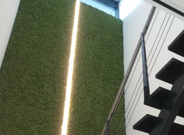 Groene moswand in ons bedrijfspand