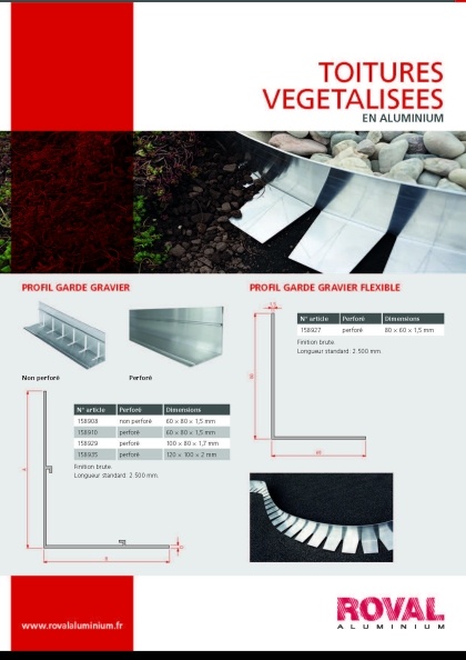 Toiture végétalisée