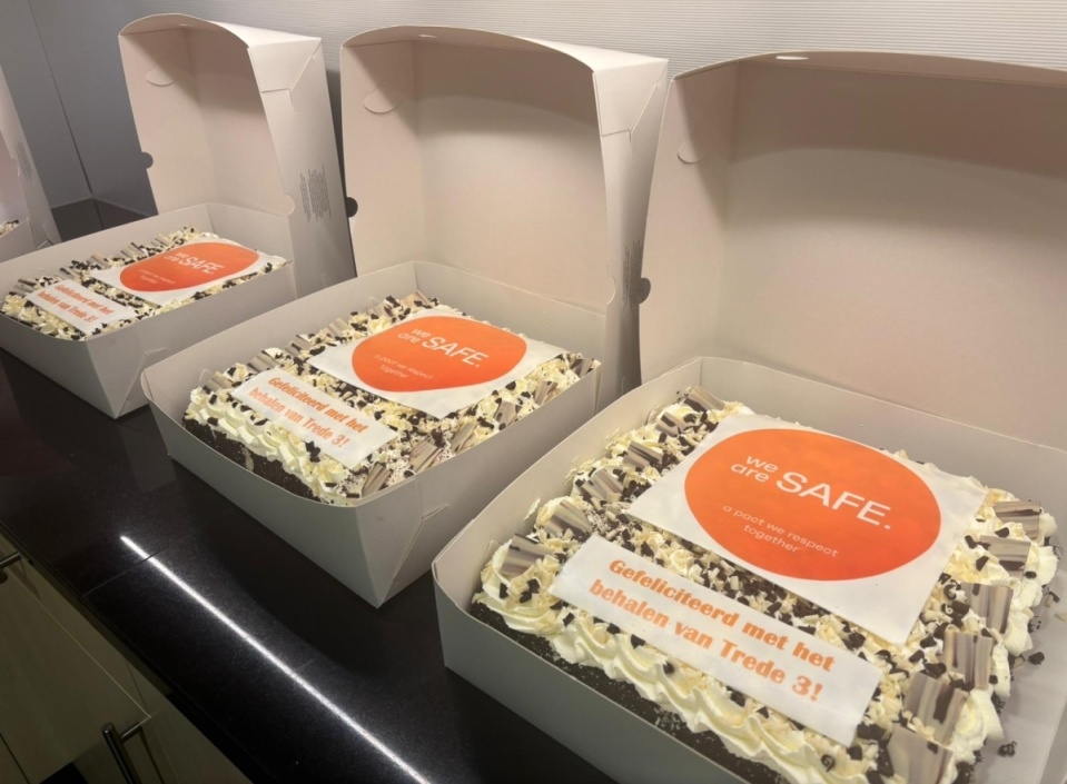 Veiligheidsladder Trede 3 voor Roval