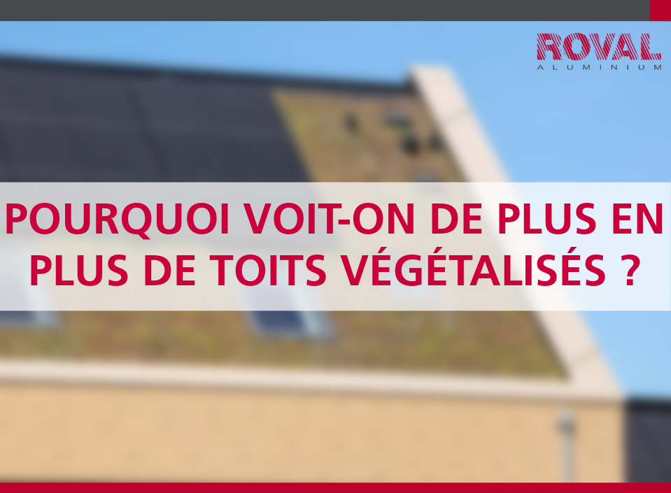 Pourquoi voit-on de plus en plus de toits végétalisés ?