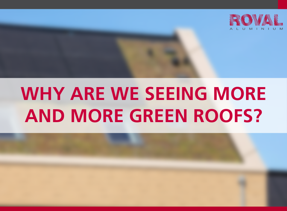 Why are we seeing more and more green roofs?